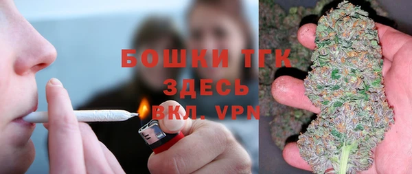 трава Медвежьегорск