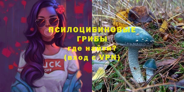 индика Вяземский