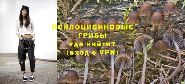 прущая мука Мегион