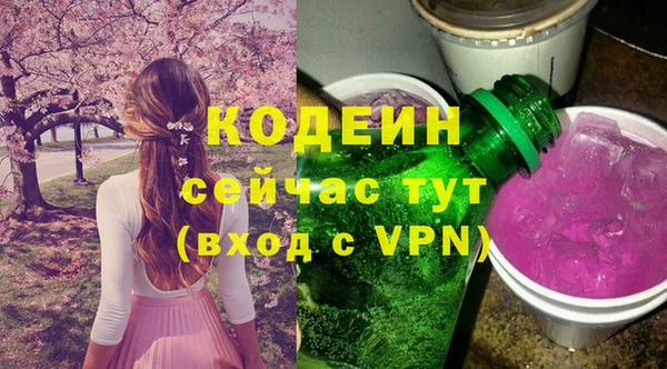 трава Медвежьегорск