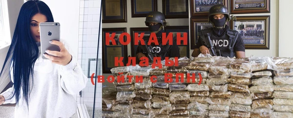 трава Медвежьегорск
