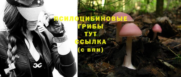 COCAINE Майский