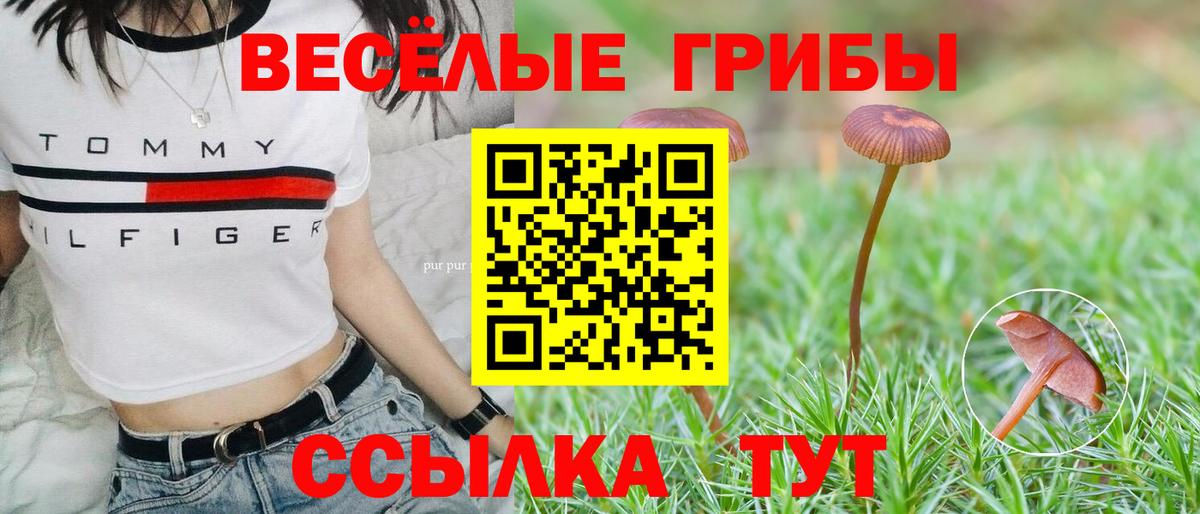Лабинск  Галлюциногенные грибы прущие грибы  Вход с VPN 